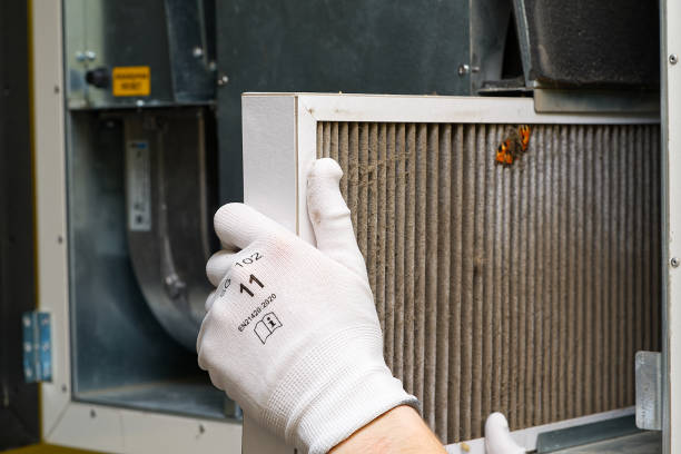 Best Air Duct Cleaning Company Near Me  in Cottonwood, MN