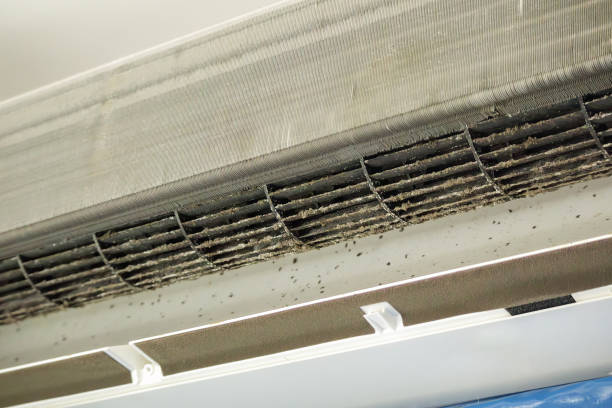 Best Emergency Air Duct Cleaning  in Cottonwood, MN