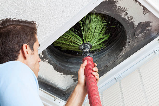 Best Home Air Vent Cleaning  in Cottonwood, MN
